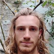 Prof de sport, acrobaties, Parkour, streetworkout, handstand, remise en forme